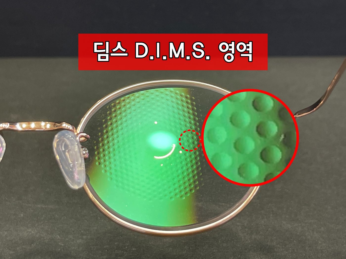 안경테에 들어간 딤스 영역